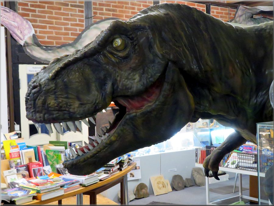 Museum