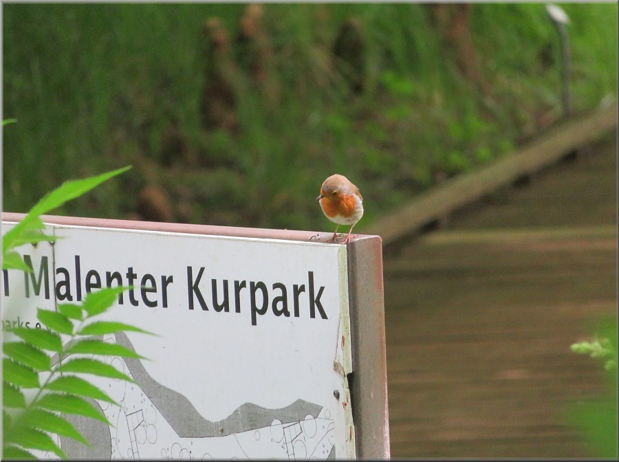 Kurpark Malente