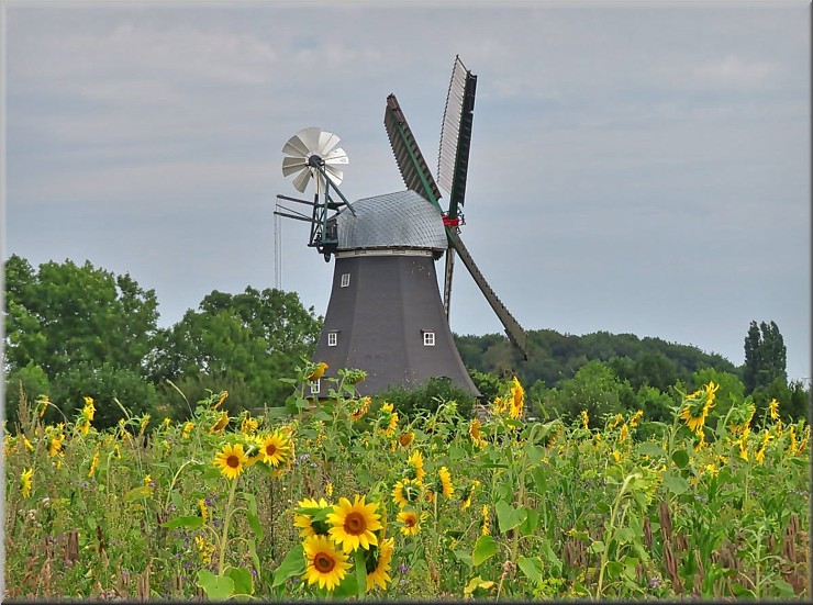 M&uuml;hle in Langenrade