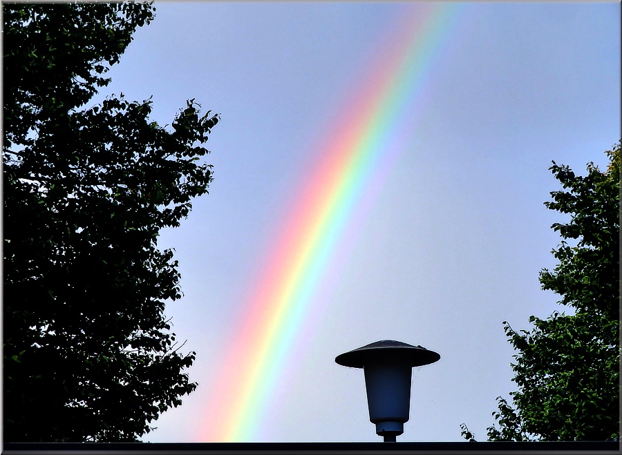 Regenbogen