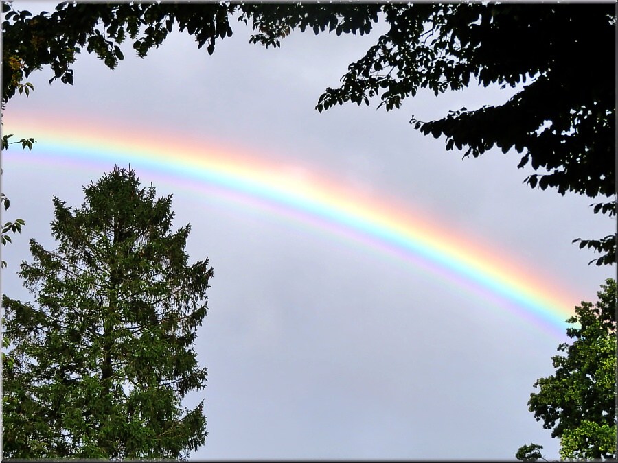 Regenbogen