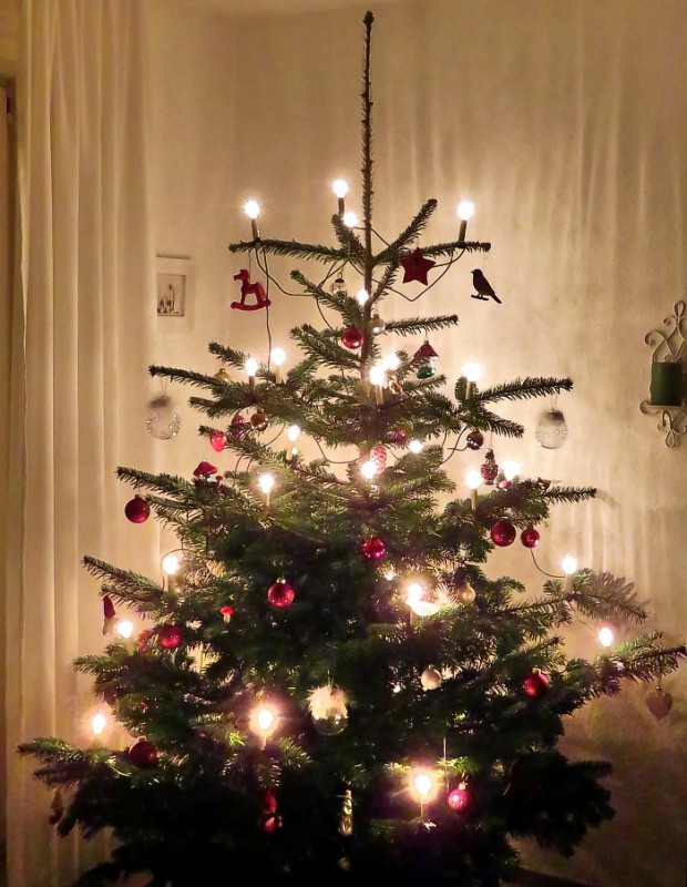 Weihnachtsbaum2025
